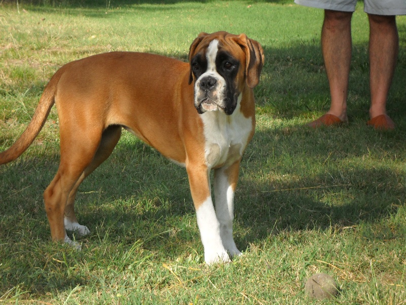 Graziela de la villa patience